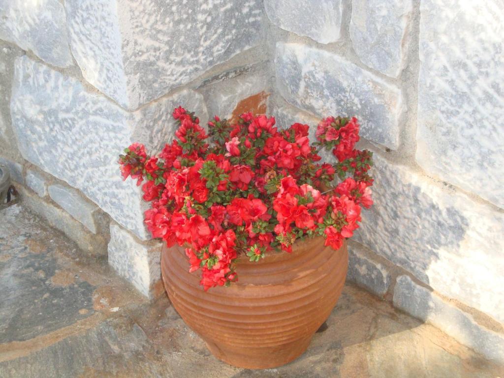 Kafiona Guesthouse Pyrgos Dirou Екстер'єр фото